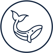 Marine Mammals